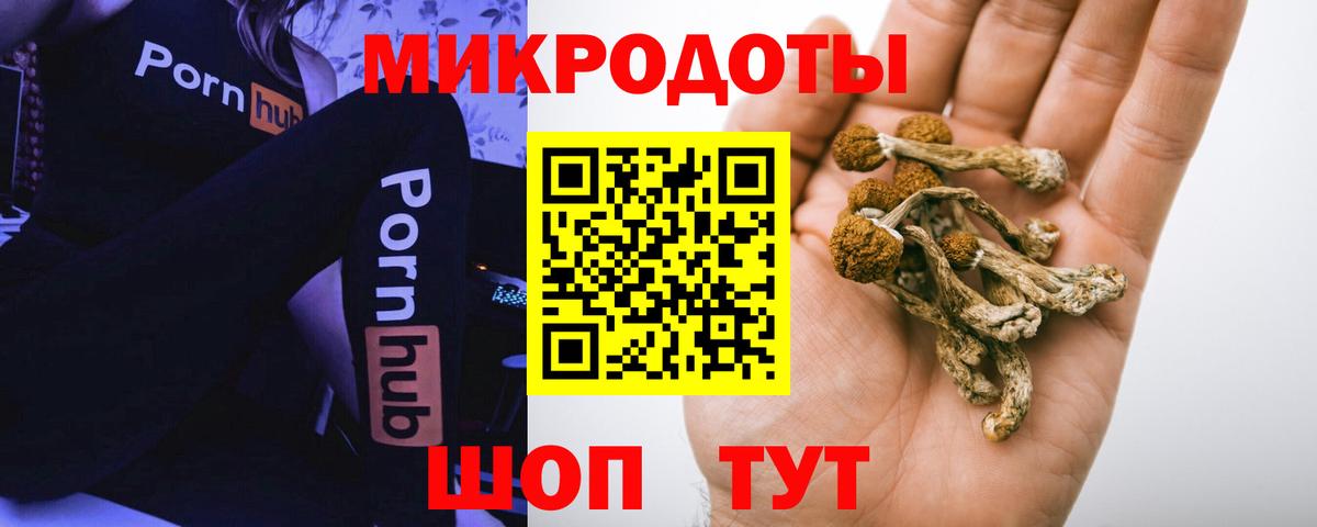 купить закладку  Вход с VPN  Псилоцибиновые грибы Cubensis  Унеча  Псилоцибиновые грибы MAGIC MUSHROOMS 