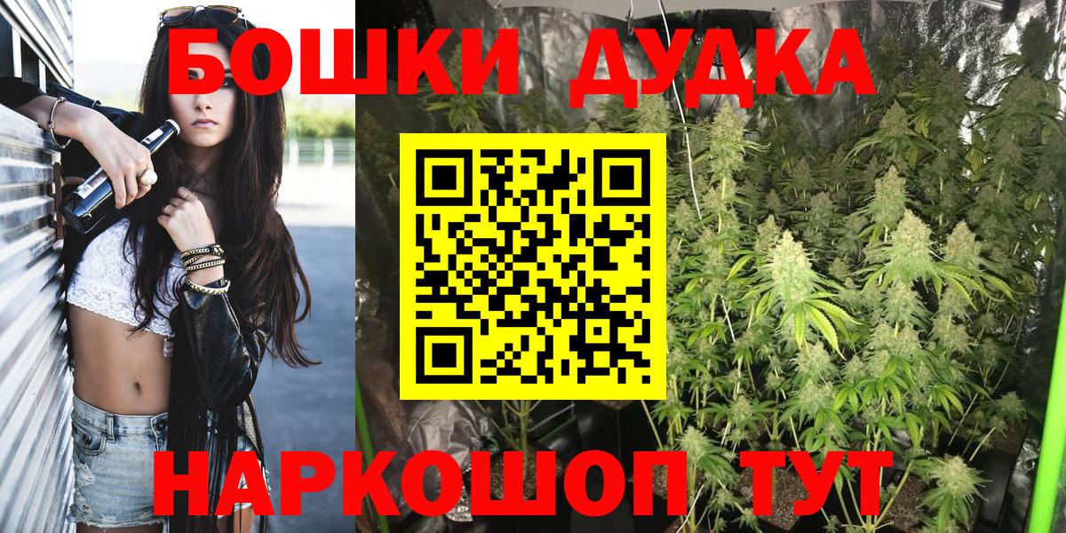 Бошки Шишки сатива  Бошки Шишки Amnesia  Унеча  Вход с VPN 